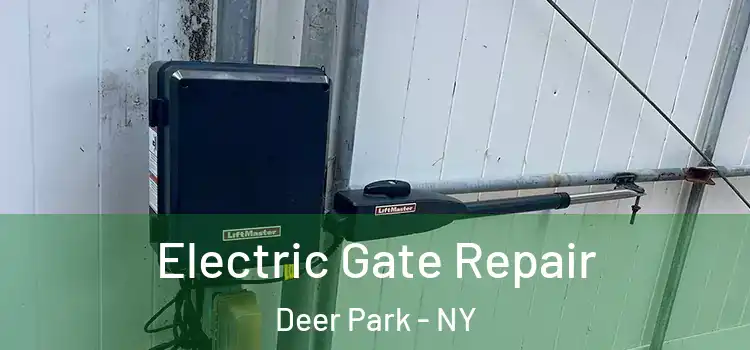 Electric Gate Repair Deer Park - NY